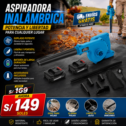 Aspiradora Portatil